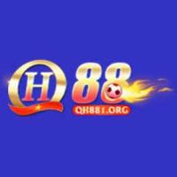 Фотография qh881org