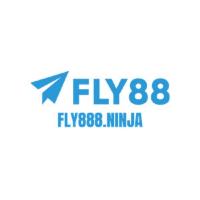 Фотография fly888ninja