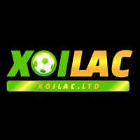 Фотография xoilacltd1