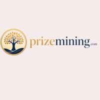 Фотография prizem