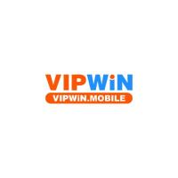 Фотография vipwinmobile