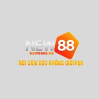 Фотография new88betlive