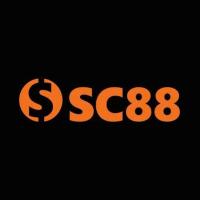 Фотография scnkcom