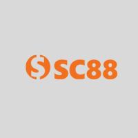 Фотография sc8881com01
