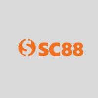 Фотография sc8818com1