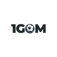 Фотография 1gommoi