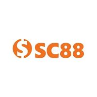 Фотография sc8866com