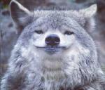 Фотография TheRED